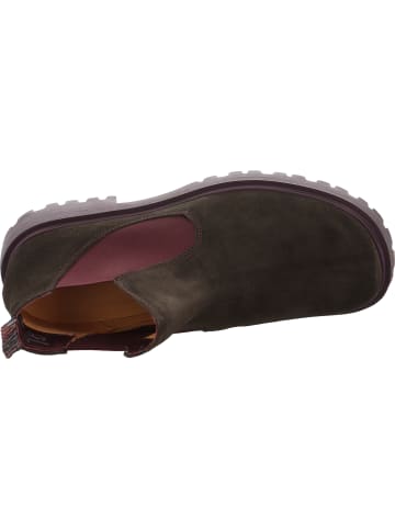 Think! Chelsea Boot TRENTO in Mocca