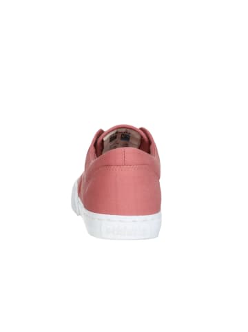 ethletic Sneaker Fair Randall in rose dust