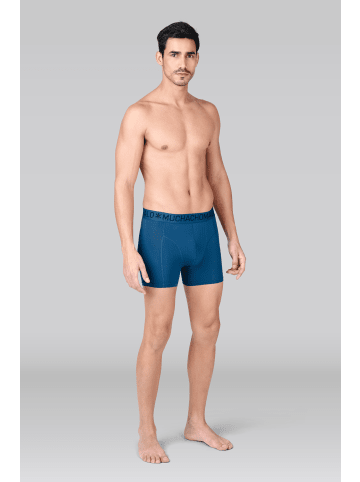 Muchachomalo 3er-Set: Boxershort in Mehrfarbig - für Herren