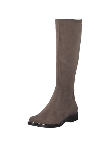 Caprice Stiefeletten in taupe