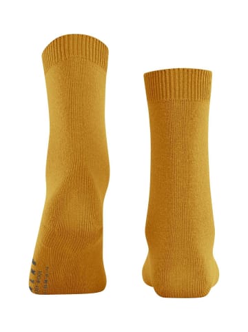 Falke Socken 1er Pack in Gelb (Amber)