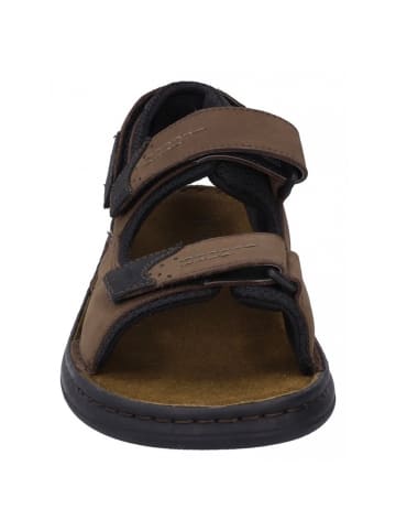 Josef Seibel Sandale Franklyn in Braun
