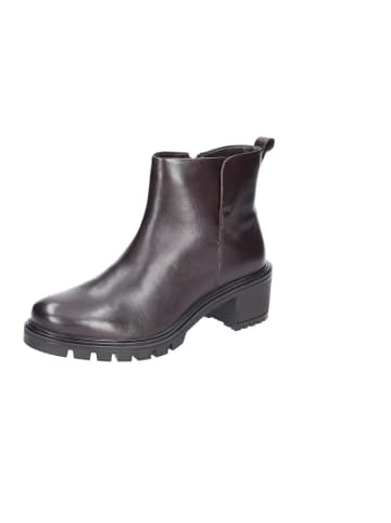 Ara Shoes Chelseaboots Denver in moro