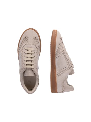JOOP! Sneaker 'Pizzo Misto Isa in Beige'