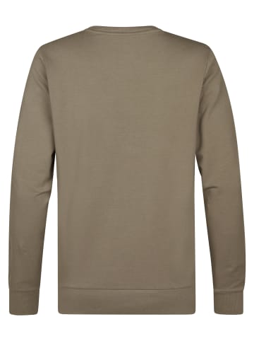 Petrol Industries Sweater mit Logo Seaviewpark in Grün