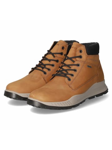 Igi&Co Schnürstiefel in braun