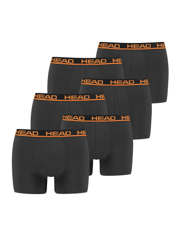 HEAD Boxershorts Head Basic Boxer 6P in 862 - dark shadow