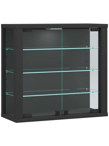 ebuy24 Vitrinenschrank VitrosaS 2 Anthrazit 43 x 18 cm