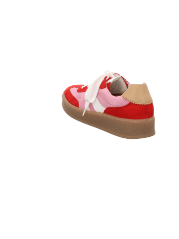 Gabor Comfort Schnürschuh in rosa