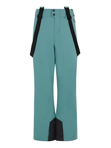 Protest " BORK JR in Atlantic Green