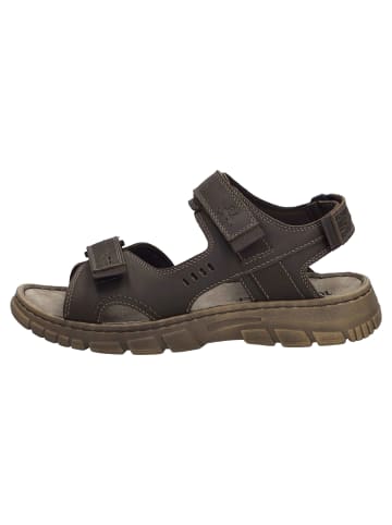 Josef Seibel Sandalen in Braun