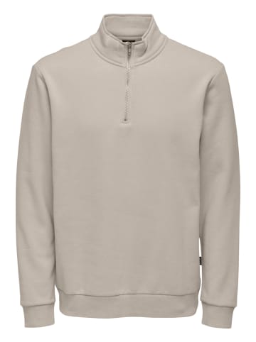 ONLY & SONS Sweattroyer Ceres in Silver lining