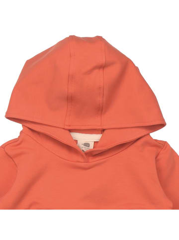 Walkiddy Kleid Langoustine - Sweatdress