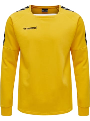 Hummel Hummel Sweatshirt Raglanärmel Hmlauthentic Herren in SPORTS YELLOW