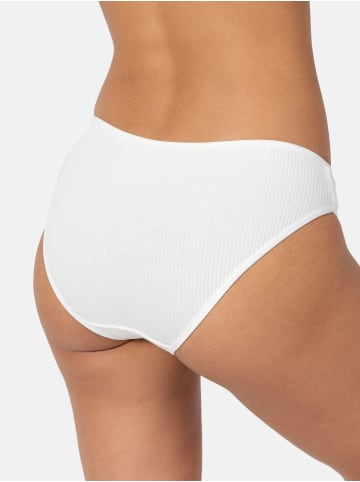 Tazzio Slip 7er Pack "F901" in Weiß