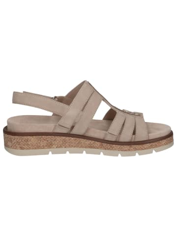 Caprice Sandale in SAND SUEDE