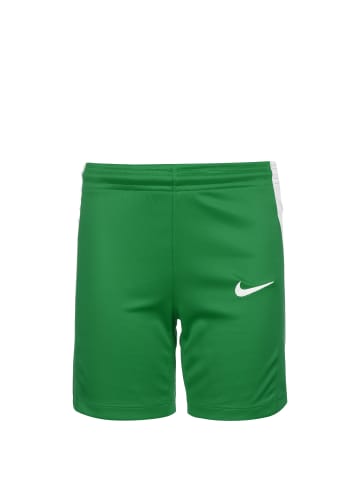 Nike Performance Funktionsshorts Team Basketball Stock in dunkelgrün / weiß