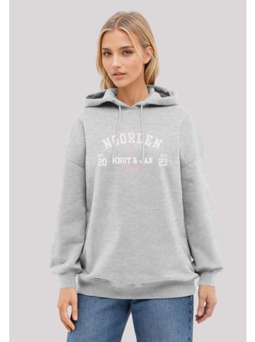 F4NT4STIC Hoodie Knut & Jan Noorden in grau meliert