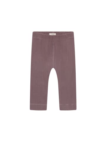 Noppies Leggings in Sparrow