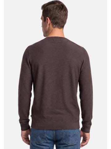 S. Oliver Pullover Basic in Dunkelblau / braun