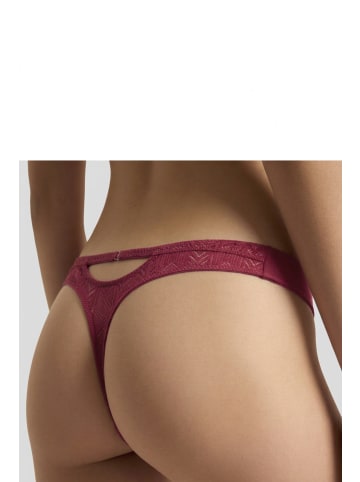 s.Oliver String in sangria