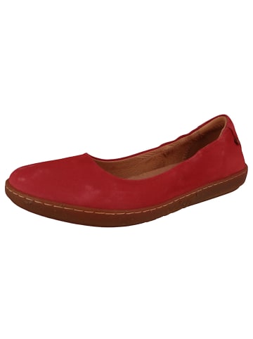 El Naturalista Ballerinas rot