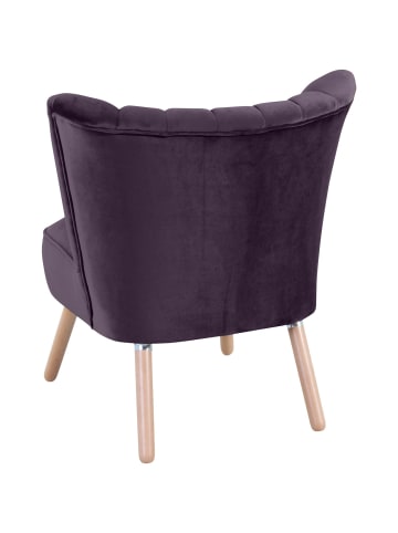 others SESSEL Kadisha Bezug Samtvelours Buche natur / purple