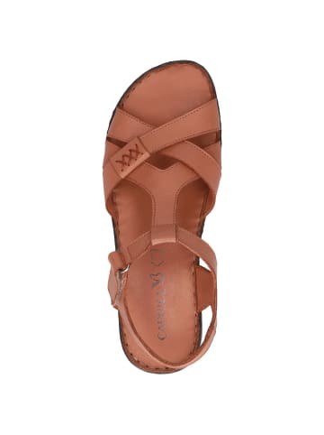 Caprice Sandalette in NUT NAPPA