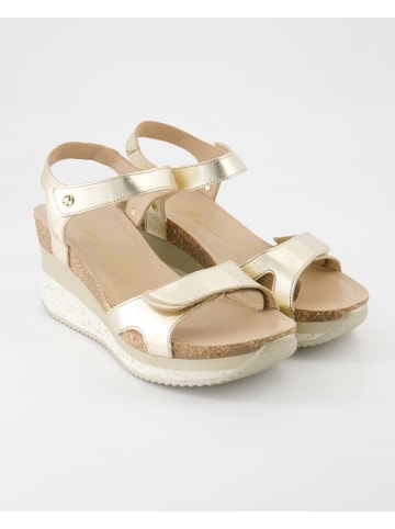 PANAMA JACK Sandalen in Gold