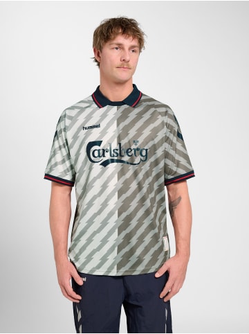 Hummel T-Shirt Hmlworld Fußball Erwachsene in LUNAR ROCK