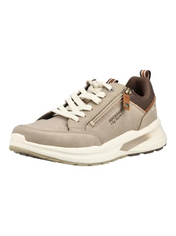 DOCKERS Sneaker in Taupe