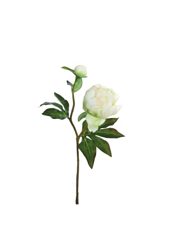 Fink Kunstblume Pfingstrose creme, hellgrün - (H) 45 cm