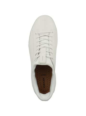 Geox Sneaker low U Flextride Plus A in weiss