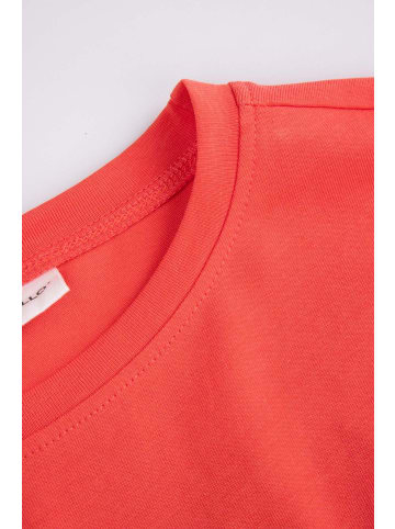 Coccodrillo Langarmshirt in rot
