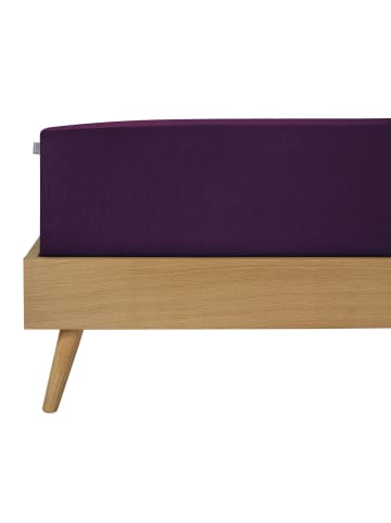 Schiesser Jersey-Elasthan-Spannbettlaken Flexi in Aubergine