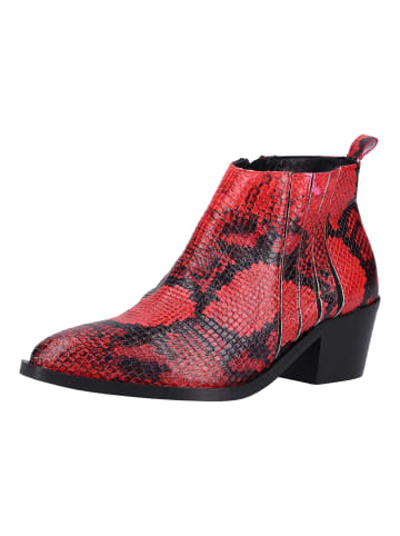 ILC Stiefelette in Rot