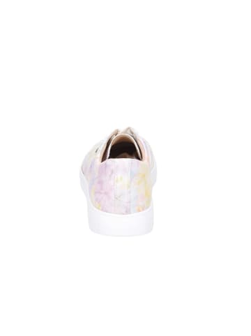 Finn Comfort Schnürschuh in bunt