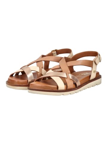 Camel Active Sandalen in Gold/Beige