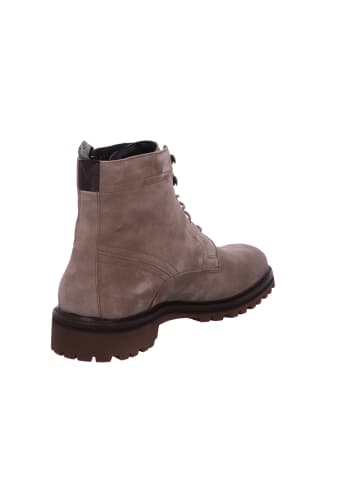 Floris van Bommel Schnürschuh in braun