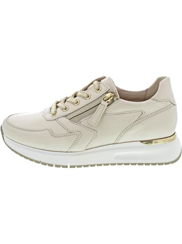 Gabor Comfort Sneaker Beige
