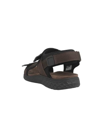 Camel Active Sandalen in Braun