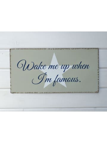 Boltze Schild WAKE ME UP WHEN I'M FAMOUS Metallschild 40x20 cm