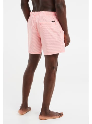 Protest " PRTMANAMA in ShellPeach