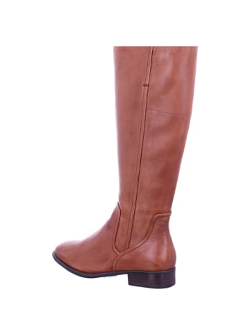 Regarde le Ciel Langschaftstiefel in braun