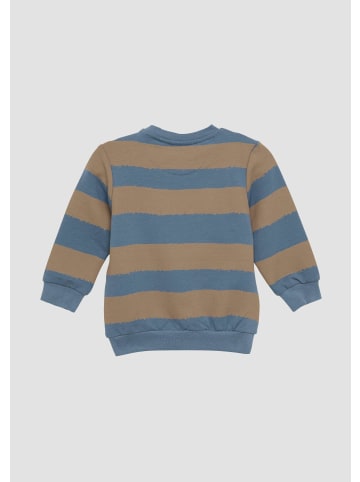 s.Oliver Sweatshirt in 54A3_hellblau