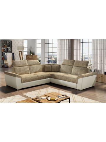 MF Design Fredo in Beige -  (L) 266 x (B) 266 x (H) 102 cm