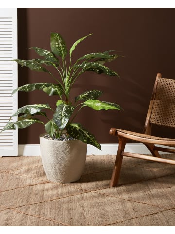 Beliani Outdoor Blumentopf KANNIA in Beige - (W) 36 x (H) 32 x (L) 36 cm