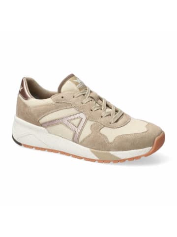 Allrounder Schnürschuh in creme