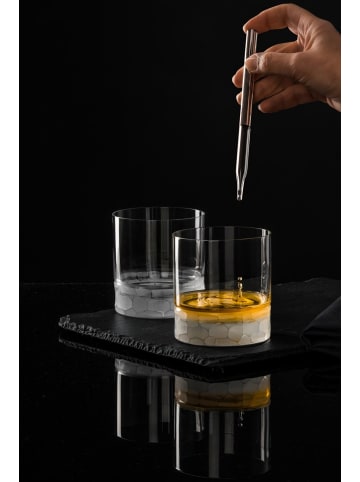 Eisch 2er Set Whiskybecher Hamilton 400 ml in transparent