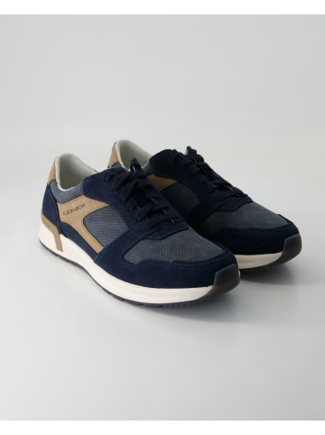 Pius Gabor Sneaker low in Blau